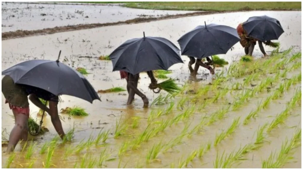 Kerala Monsoon Forecast 2026