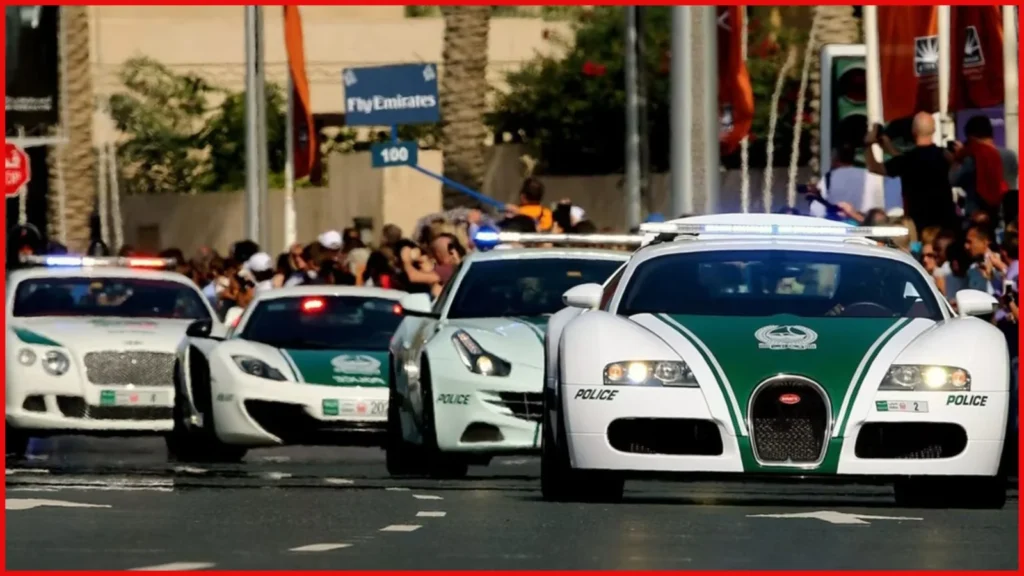 Dubai cyber fraud case