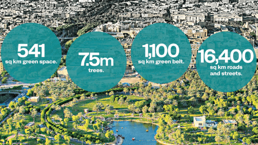 Saudi Green City Project 2026: Statistics of Green Space, Trees and Roads in Riyadh