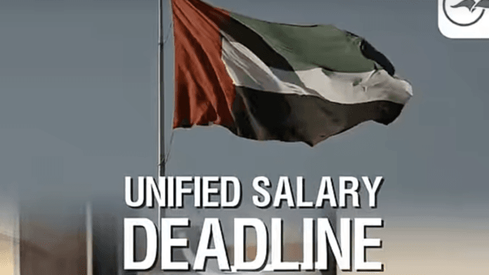 UAE Salary Payment Regulation