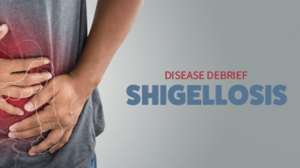 Shigella