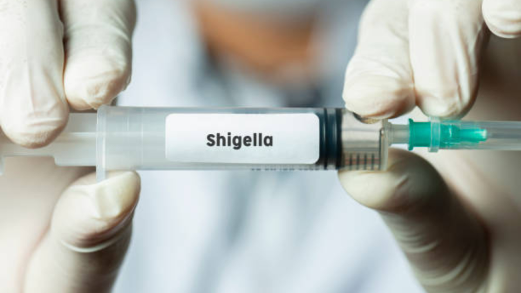 Shigella