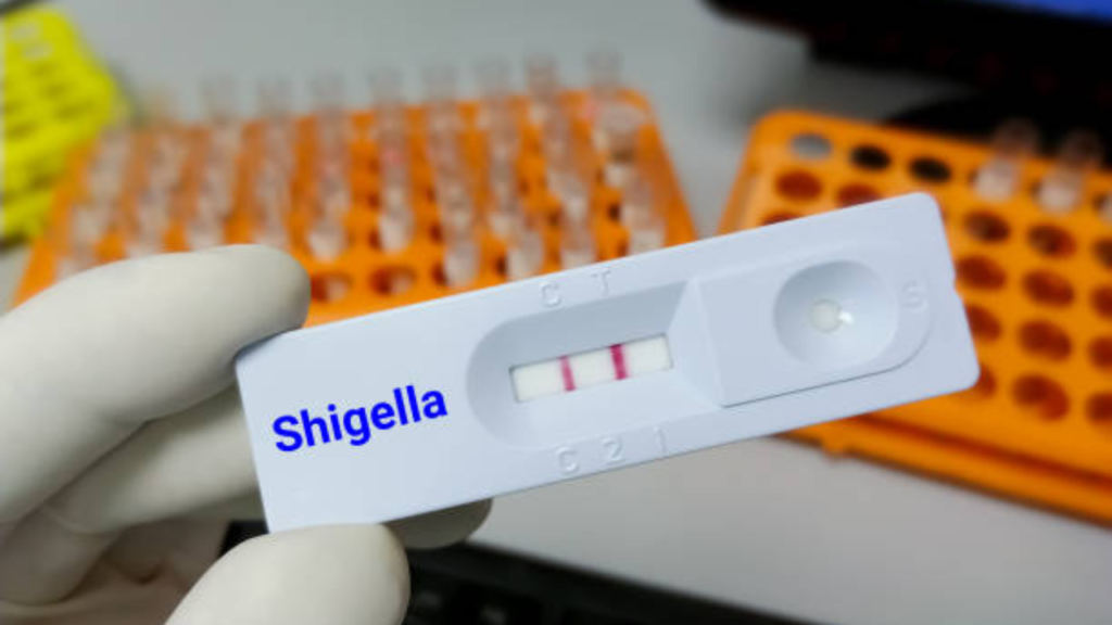 Shigella