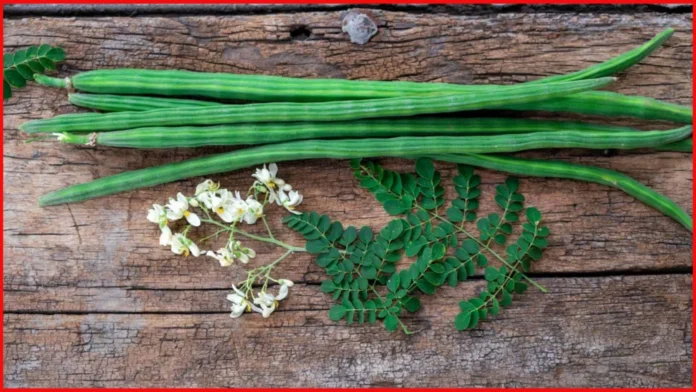 Moringa Ban in Australia