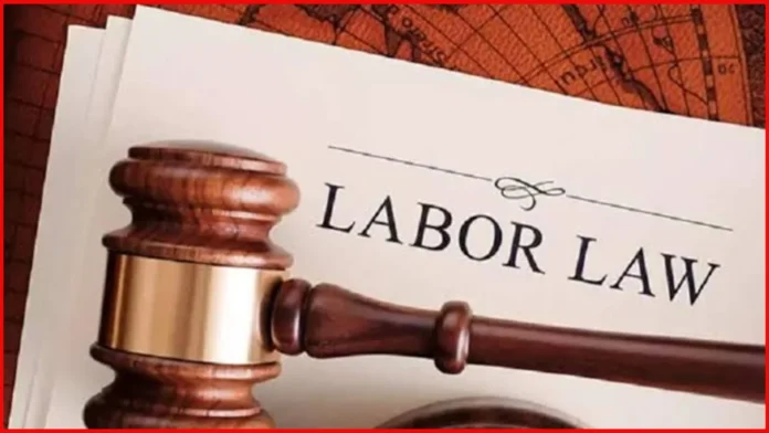 UAE Labor Law Explained for Employees
