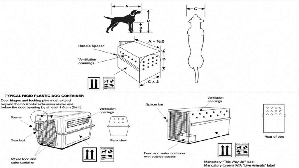 IATA pet in cabin guidelines