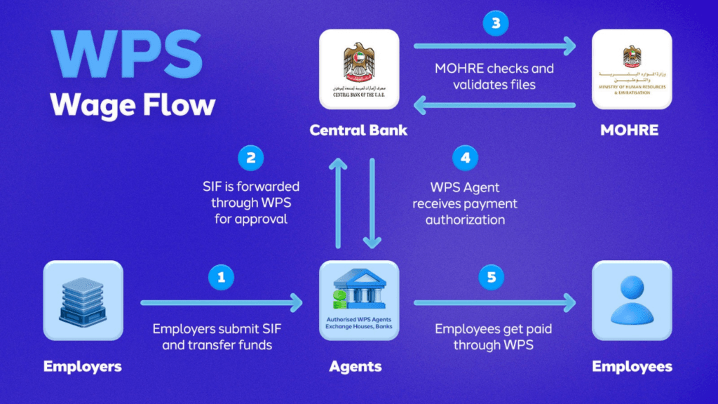 uae private sector labor law 