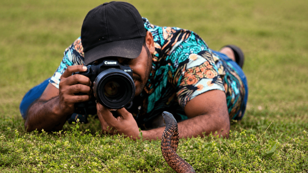 Oman snake photography regulations