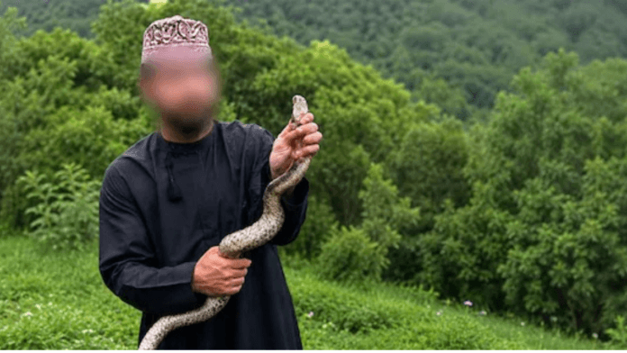 Oman Snake Photography Regulations