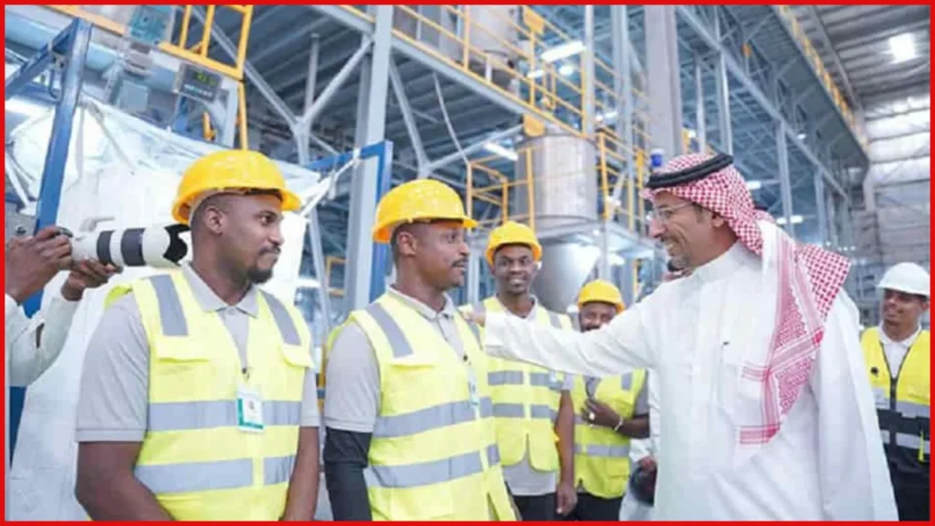 Saudi Engineering Saudization