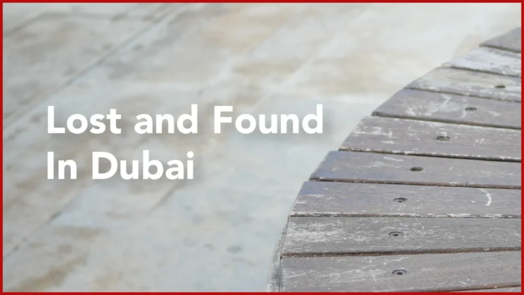 Dubai Police Lost Item Delivery