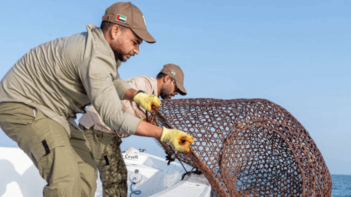 Fujairah illegal lobster traps