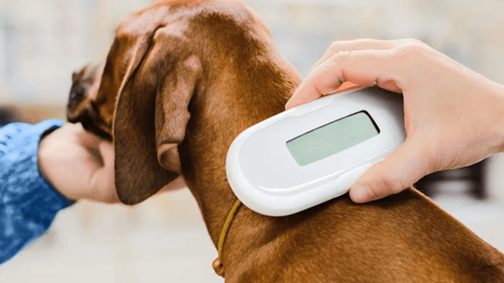 Qatar Pet Vaccination Law
