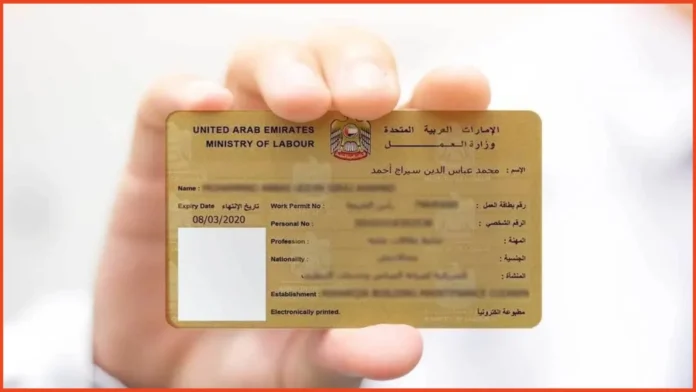 Person code in MOHRE