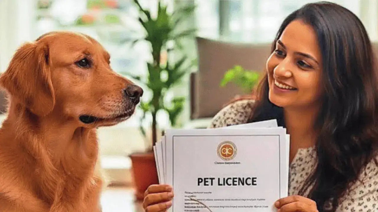 Kuwait New Dog Ownership Rules