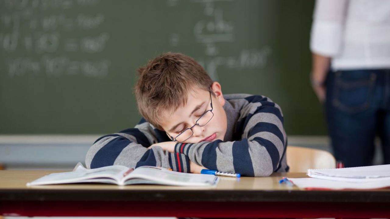 UAE School Reopening