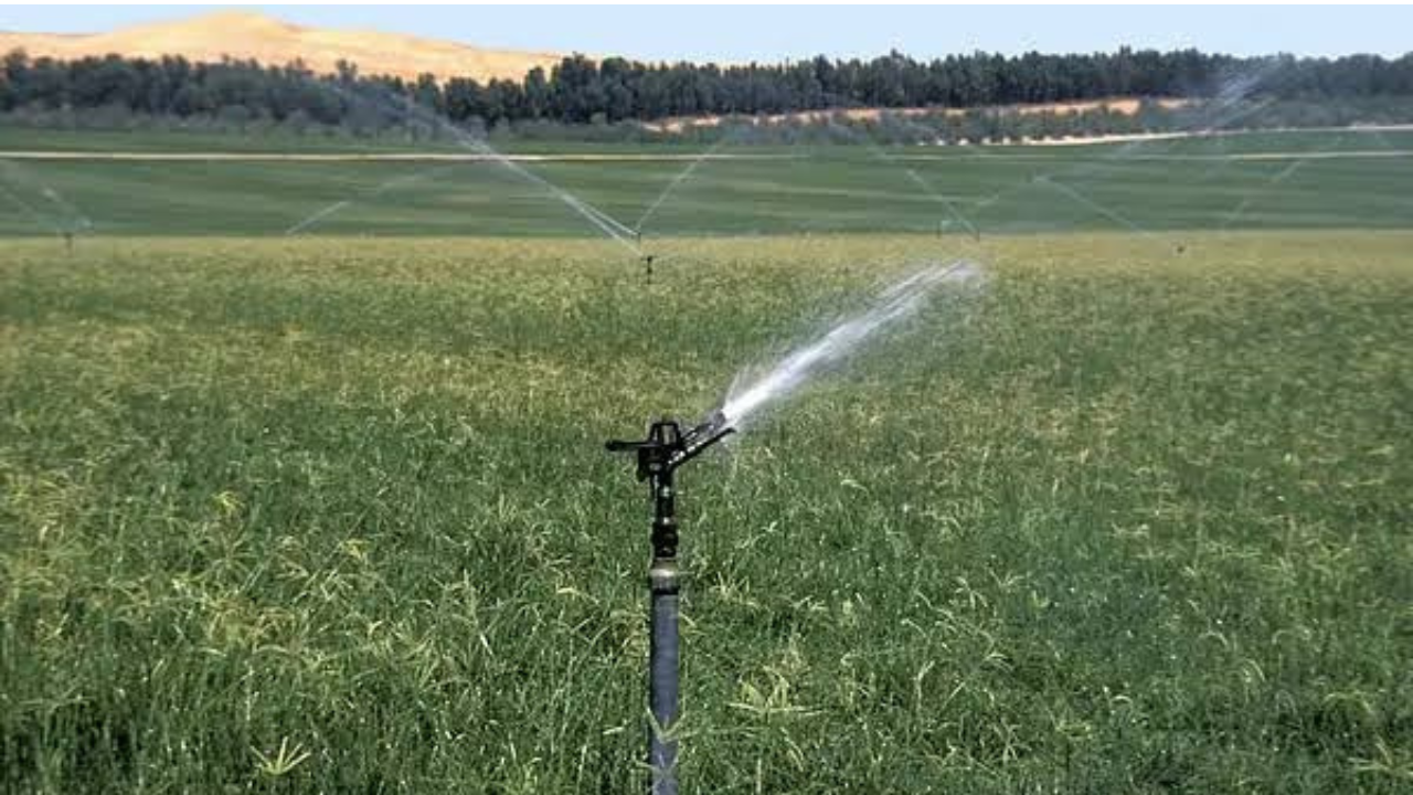 Abu Dhabi farm rules updates