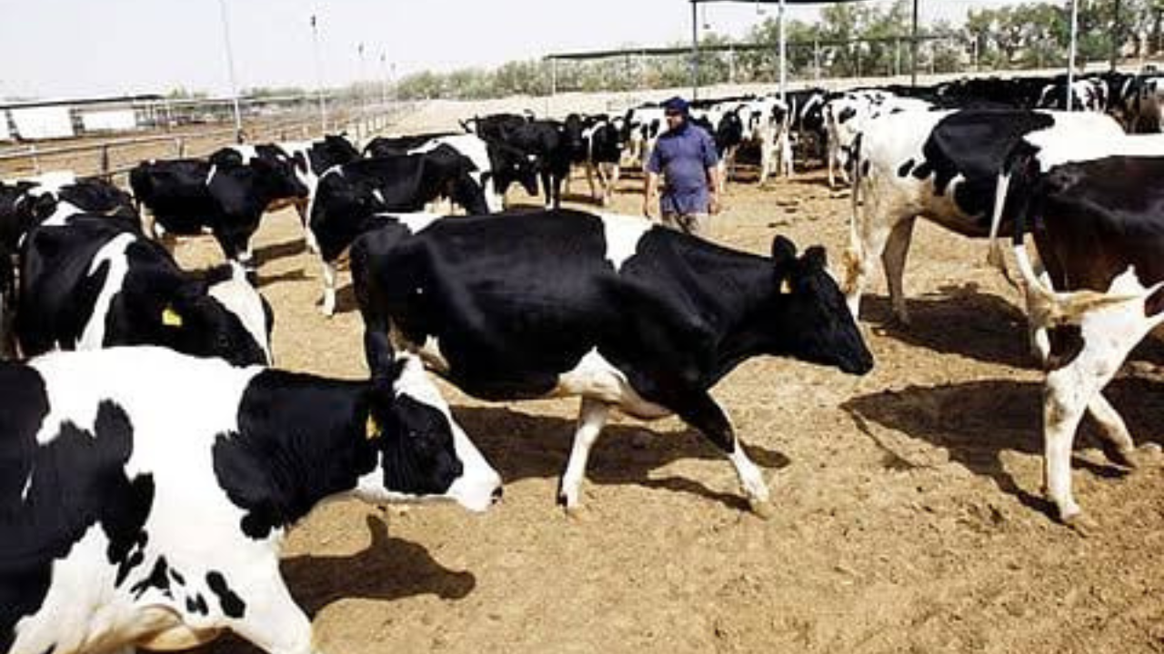 Abu Dhabi farm rules updates